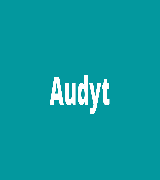 audyt